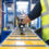Senior Architectural Systems signs the Armed Forces Covenant